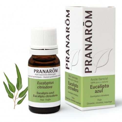 PRANAROM ACEITE ESEN EUCALIPTO AZUL 10