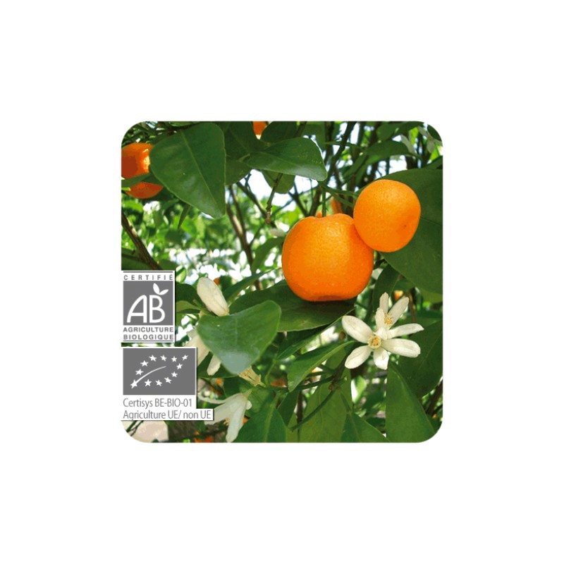 PRANAROM ACEITE ESENCIAL MANDARINA 10