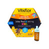 PRIM VITAFLOR JALEA REAL KIDS 20 VIALES 10 ML