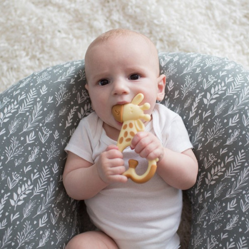 MORDEDOR DR BROWN'S JIRAFA