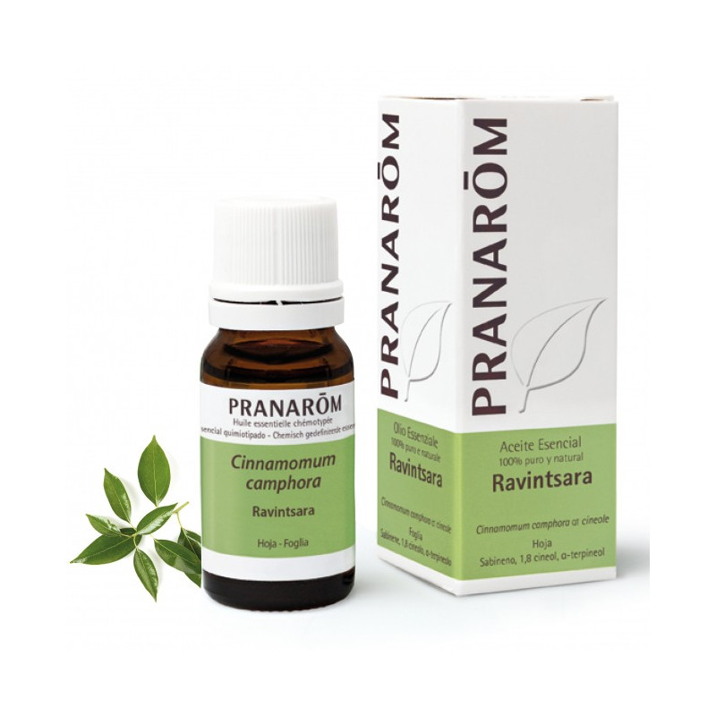 PRANAROM ACEITE ESENCIAL RAVINTSARA 10