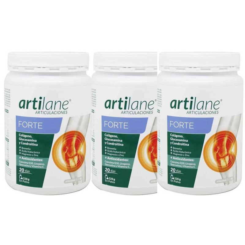 ARTILANE FORTE POLVO 220GX3 UN