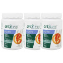 ARTILANE FORTE POLVO 220GX3 UN